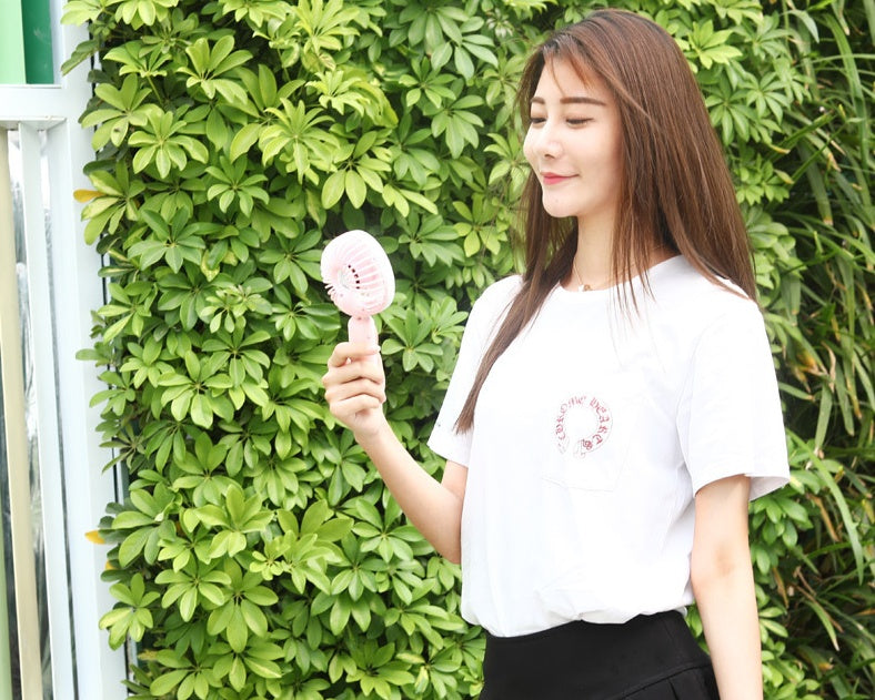 Handheld mini usb fan